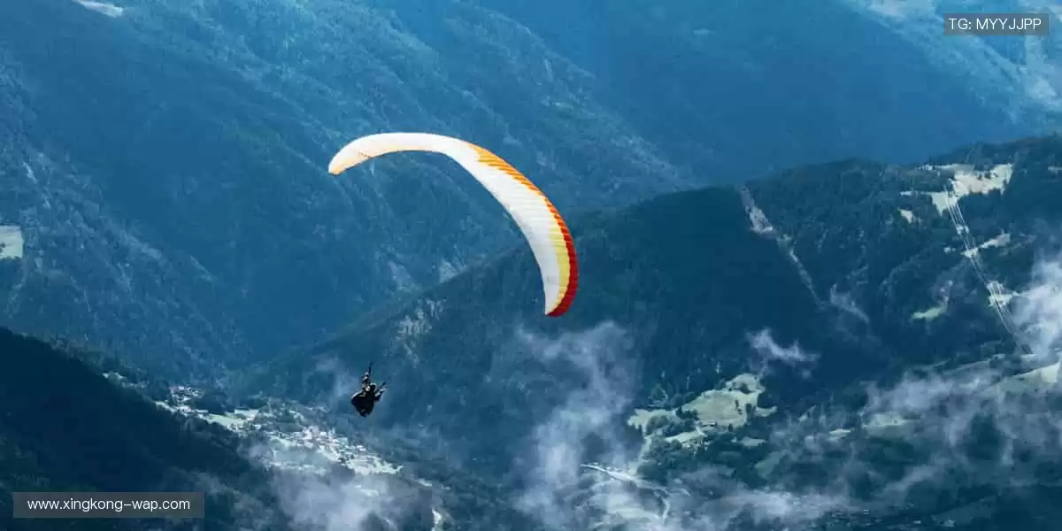 👕 穿上热爱，让每一次呐喊都有仪式感！💪