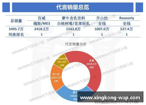 绵阳体育明星代言费用揭秘及市场价值分析深度探讨